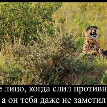 Лазертаг Смоленск — открытая игра — фото 5 — январь 2018