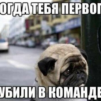 Лазертаг Смоленск — день рождения — Обидно, досадно( #цвтисмоленск #лазерта… — фото 13 — июнь 2020