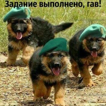 Лазертаг Смоленск — день рождения — Образцовые бойцы, отличники службы😎 #цв… — фото 26 — декабрь 2020