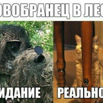 Лазертаг Смоленск — день рождения — Все мы были новобранцами😁 #цвтисмоленск… — фото 35 — декабрь 2020