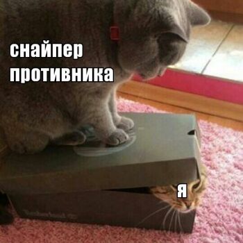 Лазертаг Смоленск — корпоратив — Мем смешной, а ситуация... обидная) #цв… — фото 12 — март 2021