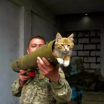 Лазертаг Смоленск — корпоратив — Секретная разработка РПГ «Кот» – скоро… — фото 25 — март 2021