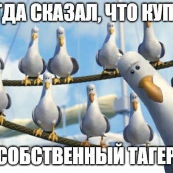 Лазертаг Смоленск — детская игра — Дай посмотреть!!!😨 #цвтисмоленск #лазер… — фото 65 — апрель 2021