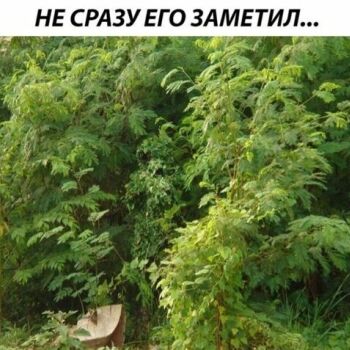 Лазертаг Смоленск — детская игра — Маскировка 80 уровня 😎 А вы нашли бойца… — фото 12 — июнь 2021