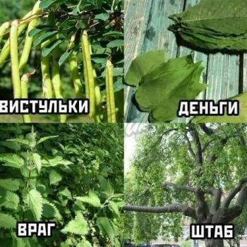 Лазертаг Смоленск — корпоратив — Забыли еще оружие, помните его?) #цвтис… — фото 21 — июль 2021