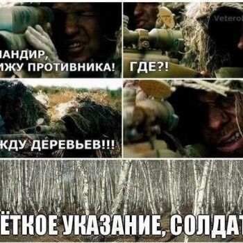 Лазертаг Смоленск — корпоратив — Коварные березы😎 #цвтисмоленск #лазерта… — фото 32 — июль 2021