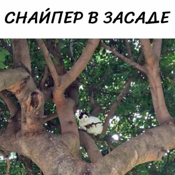 Лазертаг Смоленск — корпоратив — Следи за собой, будь осторожен (с) #цвт… — фото 36 — июль 2021