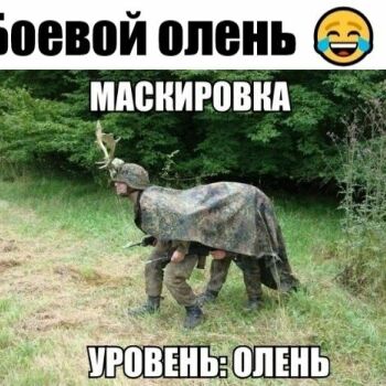 Лазертаг Смоленск — корпоратив — Главное, охотника в лесу не встретить😎… — фото 7 — июль 2021
