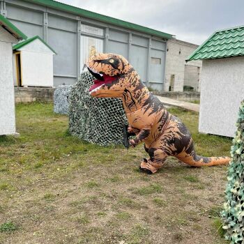 Лазертаг Смоленск — детская игра — Начинаем фото репортаж с БИТВЫ ПРОТИВ Д… — фото 14 — октябрь 2023